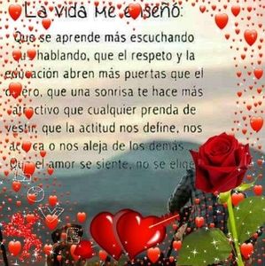 Meet your Posher, Rosa